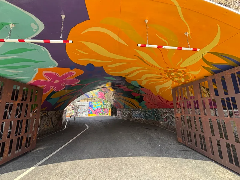 Bright colour design arch