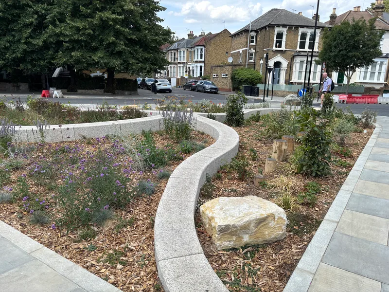Sustainable Drainage planting