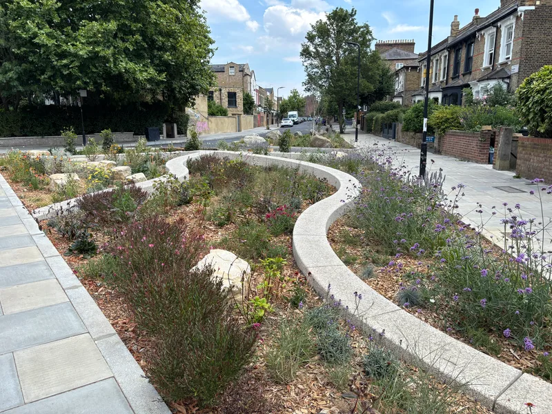Sustainable Drainage planting